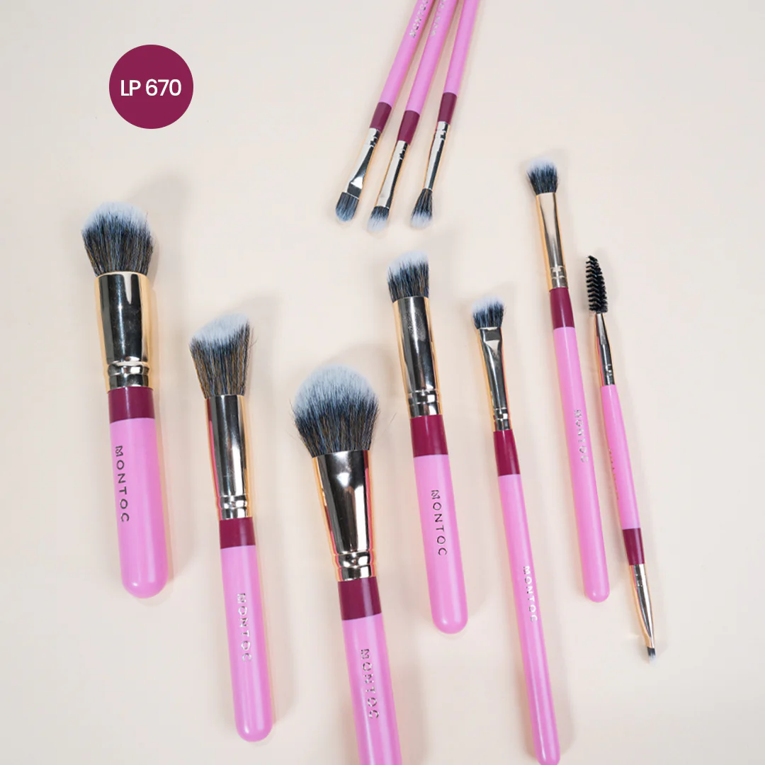 KIT DE BROCHAS MONTOC (LP670)